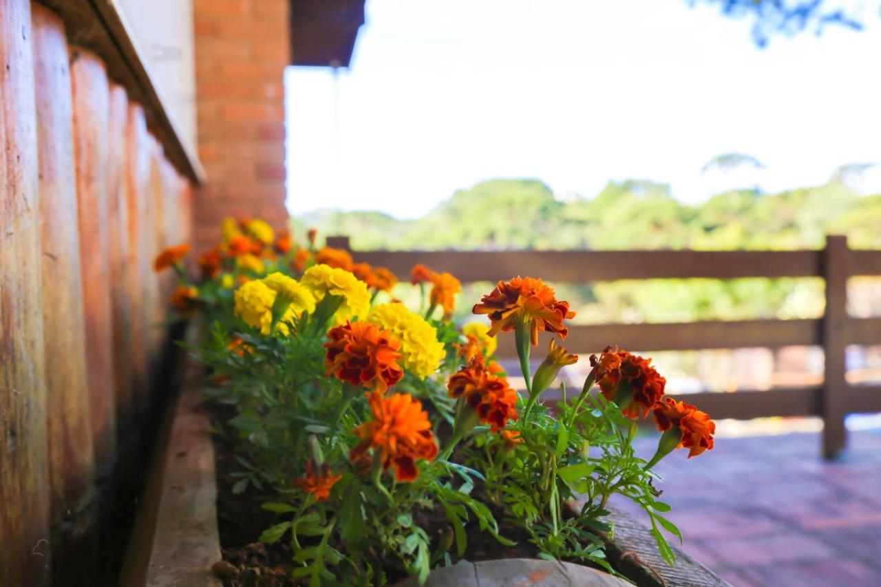 Iturri Campos do Jordao